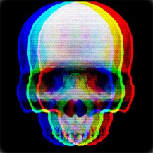 3d Scull