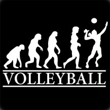 Volleyball Evolution