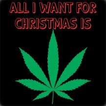 All I Want For Christmas Is…