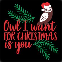 Owl I Want for Christmas is You