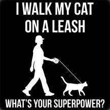 I Walk My Cat On A Leash