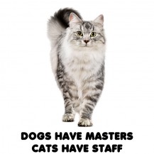 Dogs Have Masters-Cats Have Staff